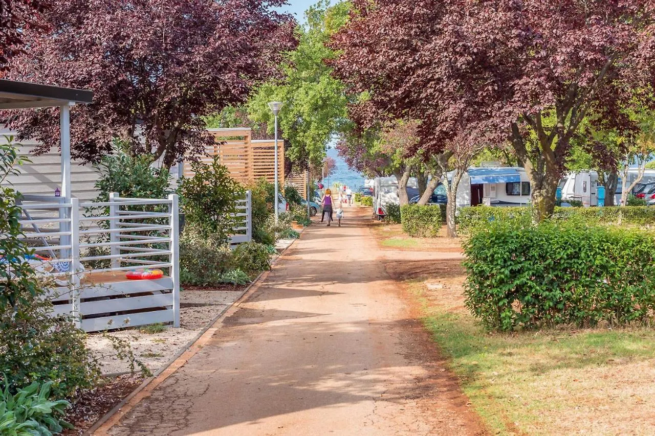 Mobile Homes Bijela Uvala Vacanceselect Poreč Kompleks wypoczynkowy